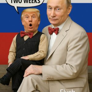 Putin's Puppet - 2 weeks!